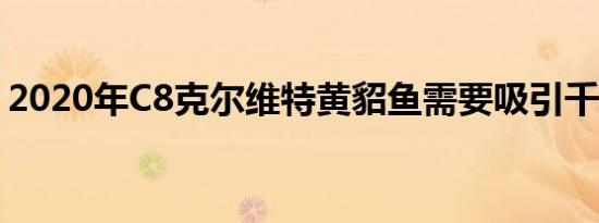 2020年C8克尔维特黄貂鱼需要吸引千禧一代