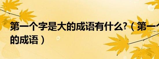 第一个字是大的成语有什么?（第一个字是大的成语）