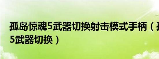 孤岛惊魂5武器切换射击模式手柄（孤岛惊魂5武器切换）