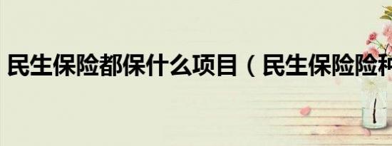 民生保险都保什么项目（民生保险险种介绍）