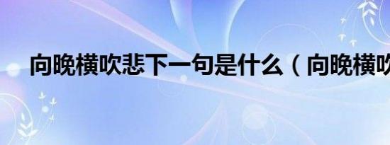 向晚横吹悲下一句是什么（向晚横吹悲）