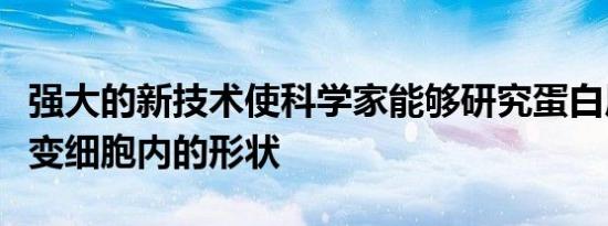 强大的新技术使科学家能够研究蛋白质如何改变细胞内的形状