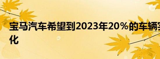 宝马汽车希望到2023年20％的车辆实现电动化