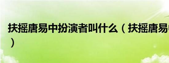 扶摇唐易中扮演者叫什么（扶摇唐易中扮演者）