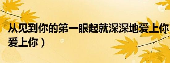 从见到你的第一眼起就深深地爱上你（深深地爱上你）