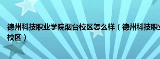 德州科技职业学院烟台校区怎么样（德州科技职业学院烟台校区）