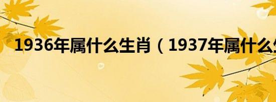 1936年属什么生肖（1937年属什么生肖）