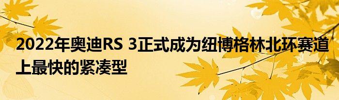 2022年奥迪RS 3正式成为纽博格林北环赛道上最快的紧凑型(图1)