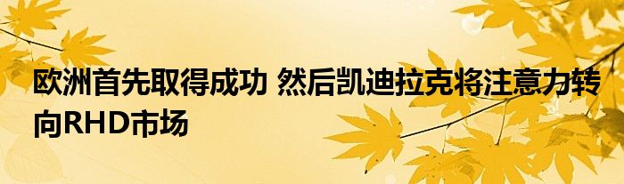 欧洲首先取得成功 然后凯迪拉克将注意力转向RHD市场(图1)