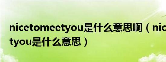 nicetomeetyou是什么意思啊（nicetomeetyou是什么意思）