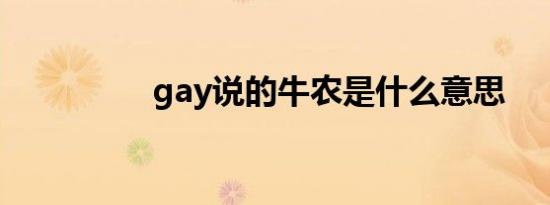 gay说的牛农是什么意思