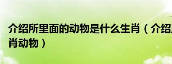 介绍所里面的动物是什么生肖（介绍所打一生肖动物）