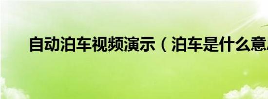 自动泊车视频演示（泊车是什么意思）