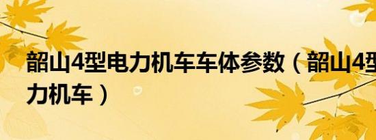 韶山4型电力机车车体参数（韶山4型货运电力机车）