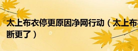 太上布衣停更原因净网行动（太上布衣为什么断更了）