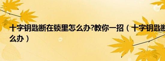 十字钥匙断在锁里怎么办?教你一招（十字钥匙断在锁里怎么办）