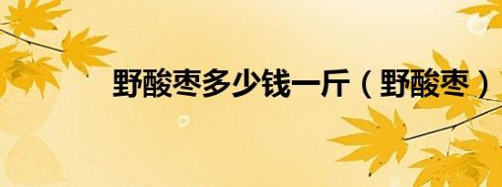 野酸枣多少钱一斤（野酸枣）