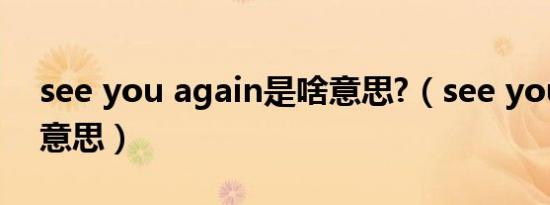 see you again是啥意思?（see you again意思）