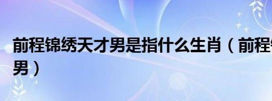 前程锦绣天才男是指什么生肖（前程锦绣天才男）