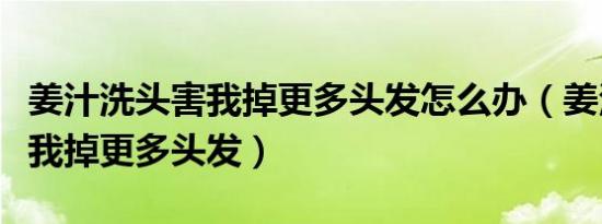 姜汁洗头害我掉更多头发怎么办（姜汁洗头害我掉更多头发）