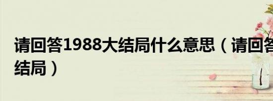 请回答1988大结局什么意思（请回答1988大结局）