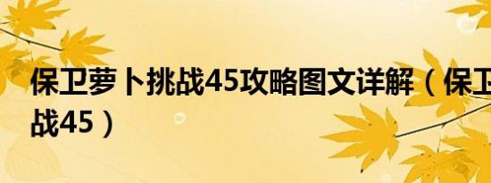 保卫萝卜挑战45攻略图文详解（保卫萝卜 挑战45）