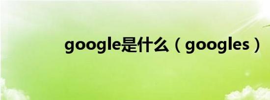 google是什么（googles）