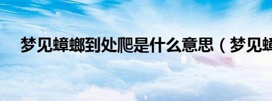 梦见蟑螂到处爬是什么意思（梦见蟑螂）