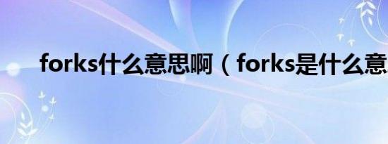 forks什么意思啊（forks是什么意思）