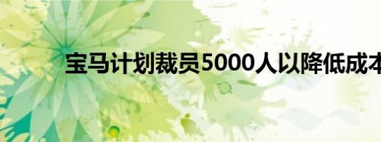 宝马计划裁员5000人以降低成本