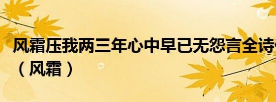 风霜压我两三年心中早已无怨言全诗什么意思（风霜）