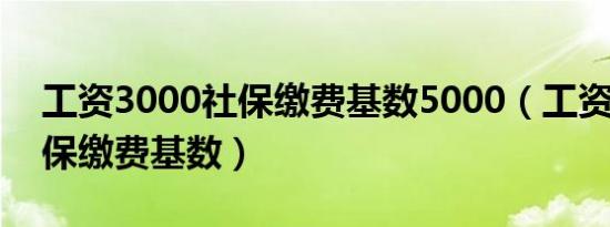 工资3000社保缴费基数5000（工资3000社保缴费基数）