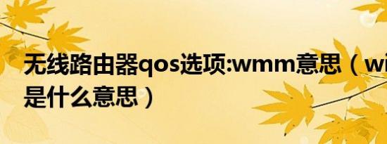 无线路由器qos选项:wmm意思（wifi的qos是什么意思）