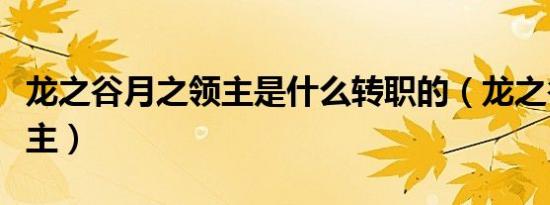 龙之谷月之领主是什么转职的（龙之谷月之领主）