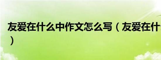 友爱在什么中作文怎么写（友爱在什么中作文）