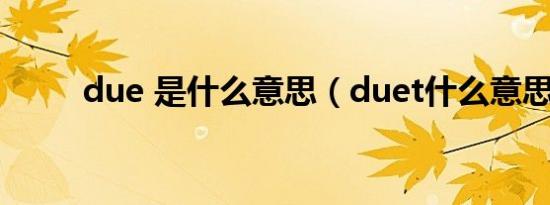 due 是什么意思（duet什么意思）