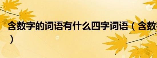 含数字的词语有什么四字词语（含数字的词语）