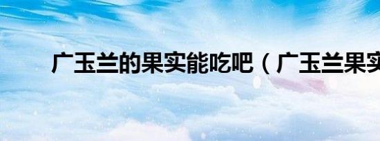 广玉兰的果实能吃吧（广玉兰果实）