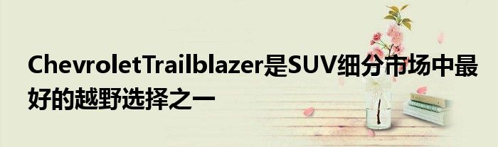 ChevroletTrailblazer是SUV细分市场中最好的越野选择之一(图1)