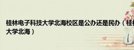 桂林电子科技大学北海校区是公办还是民办（桂林电子科技大学北海）