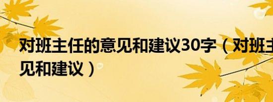 对班主任的意见和建议30字（对班主任的意见和建议）