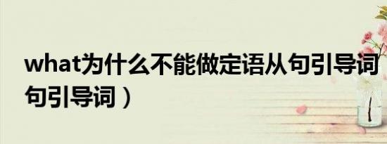 what为什么不能做定语从句引导词（定语从句引导词）