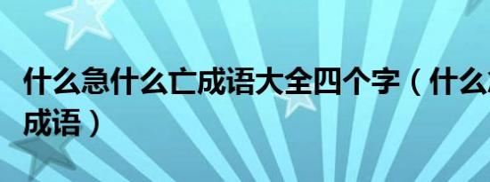 什么急什么亡成语大全四个字（什么急什么亡成语）