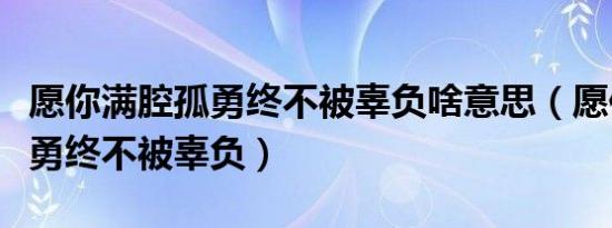 愿你满腔孤勇终不被辜负啥意思（愿你满腔孤勇终不被辜负）