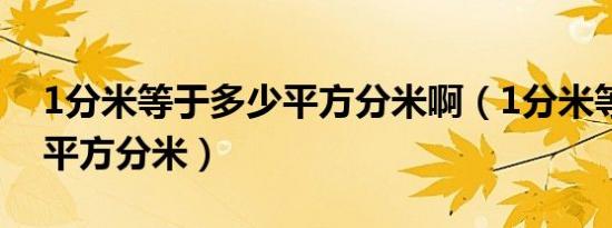 1分米等于多少平方分米啊（1分米等于多少平方分米）