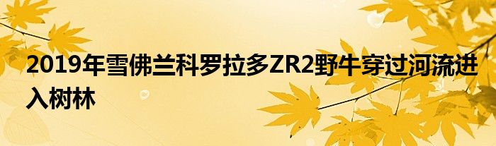 2019年雪佛兰科罗拉多ZR2野牛穿过河流进入树林(图1)