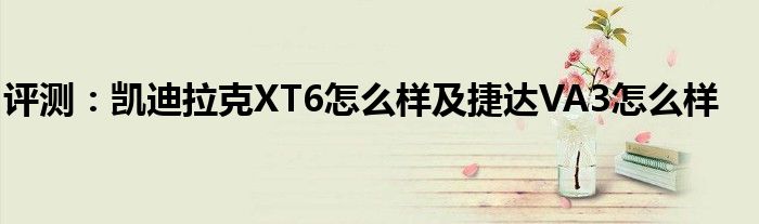 评测：凯迪拉克XT6怎么样及捷达VA3怎么样(图1)