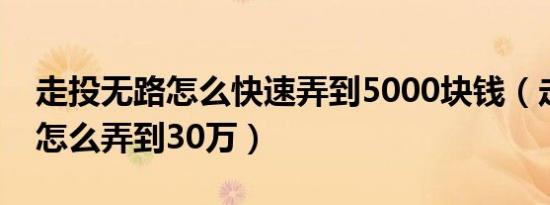 走投无路怎么快速弄到5000块钱（走投无路怎么弄到30万）