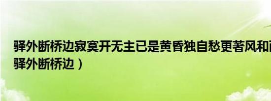 驿外断桥边寂寞开无主已是黄昏独自愁更著风和雨的意思（驿外断桥边）