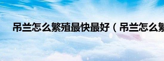 吊兰怎么繁殖最快最好（吊兰怎么繁殖）